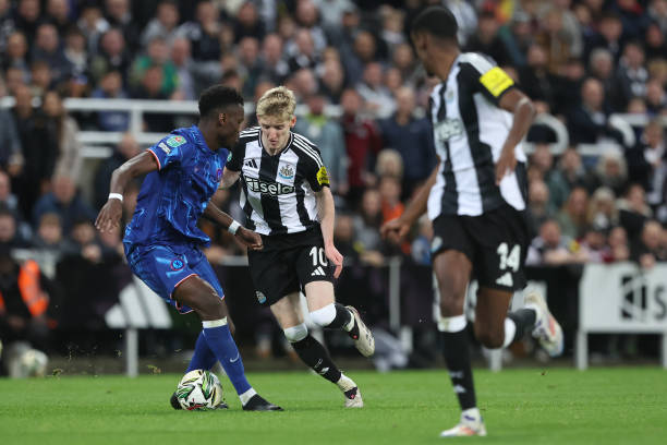 这不仅为生 这不仅为生