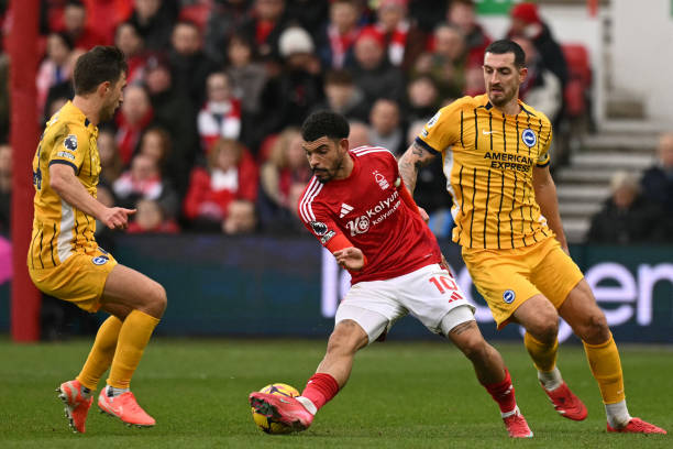 以沉稳和精 以沉稳和精