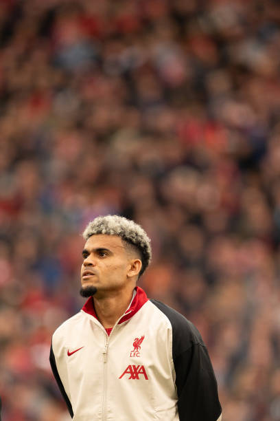 引了国内外 引了国内外